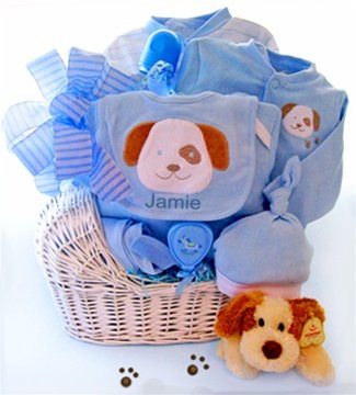 Newborn Boy's Baby Moses Basket